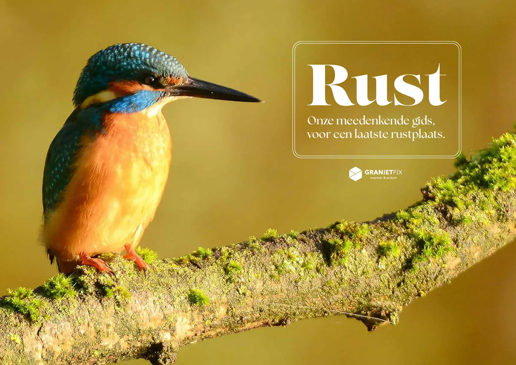 Rust-catalogus pagina 1