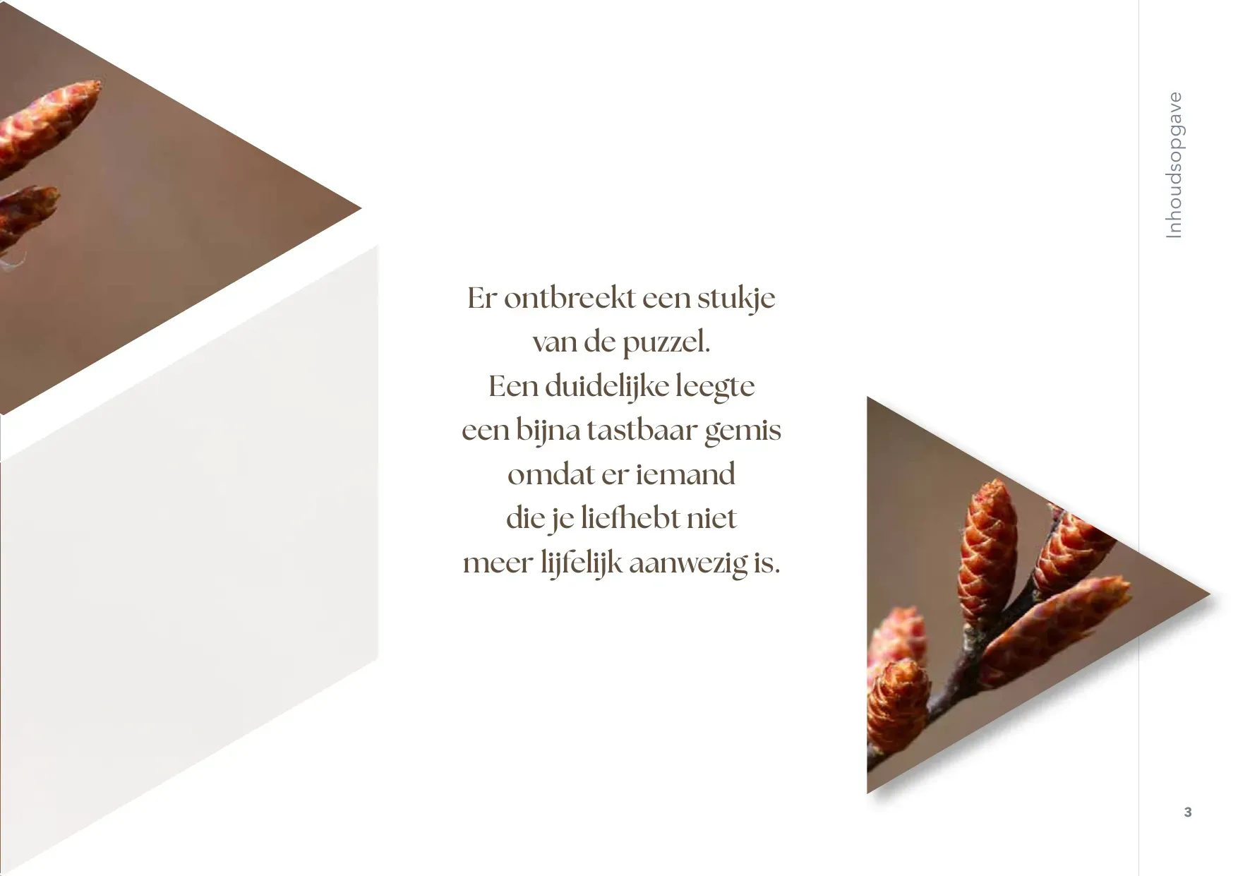 Rust-catalogus pagina 5
