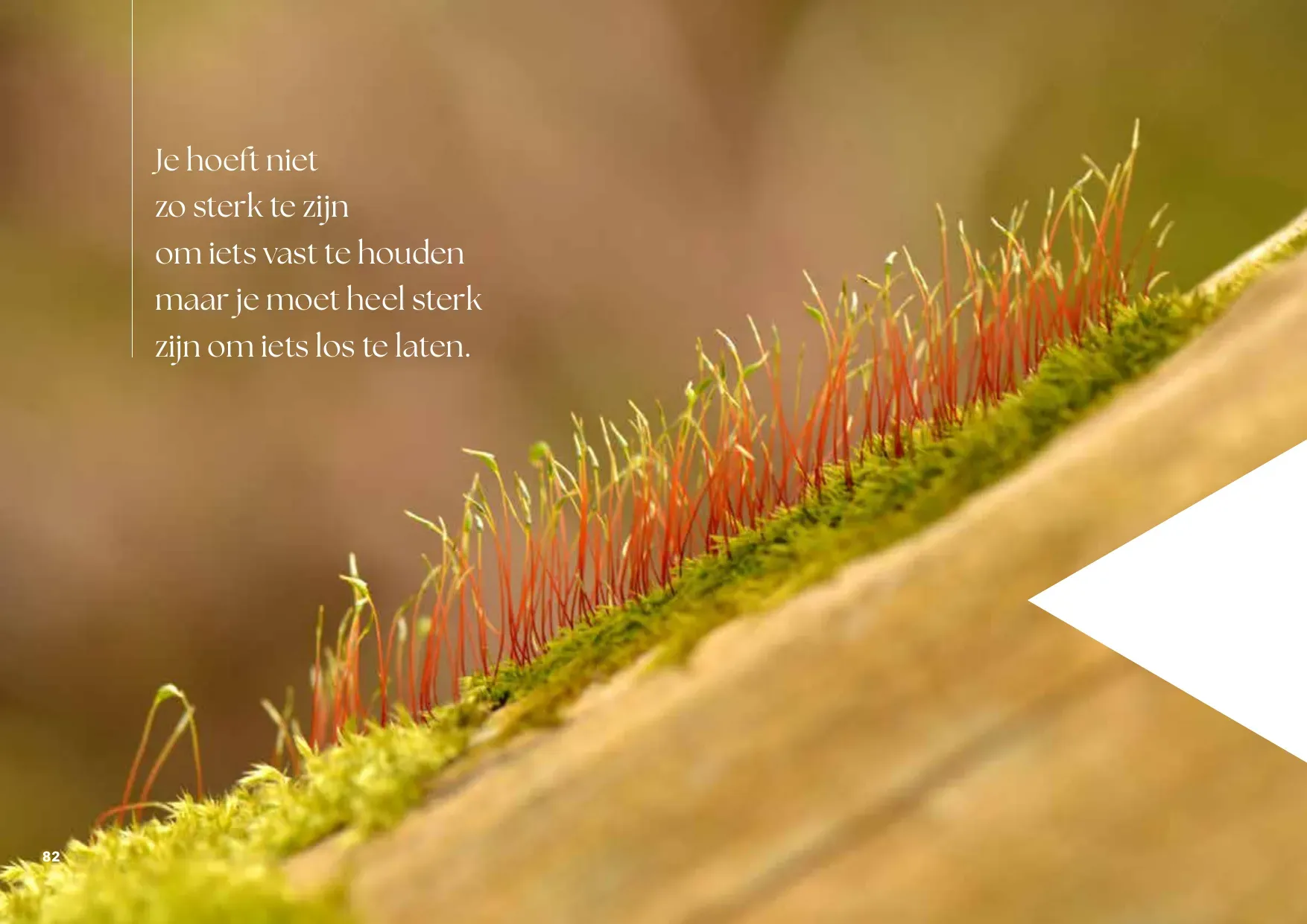 Rust-catalogus pagina 84